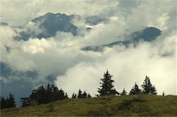 Two Thirds Of The Tongass Rainforest Cannot Be Logged